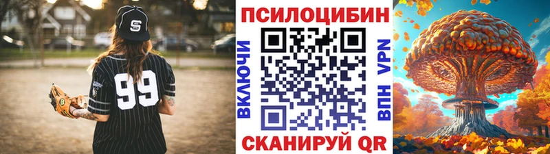 купить  цена  Морозовск  Галлюциногенные грибы мицелий 